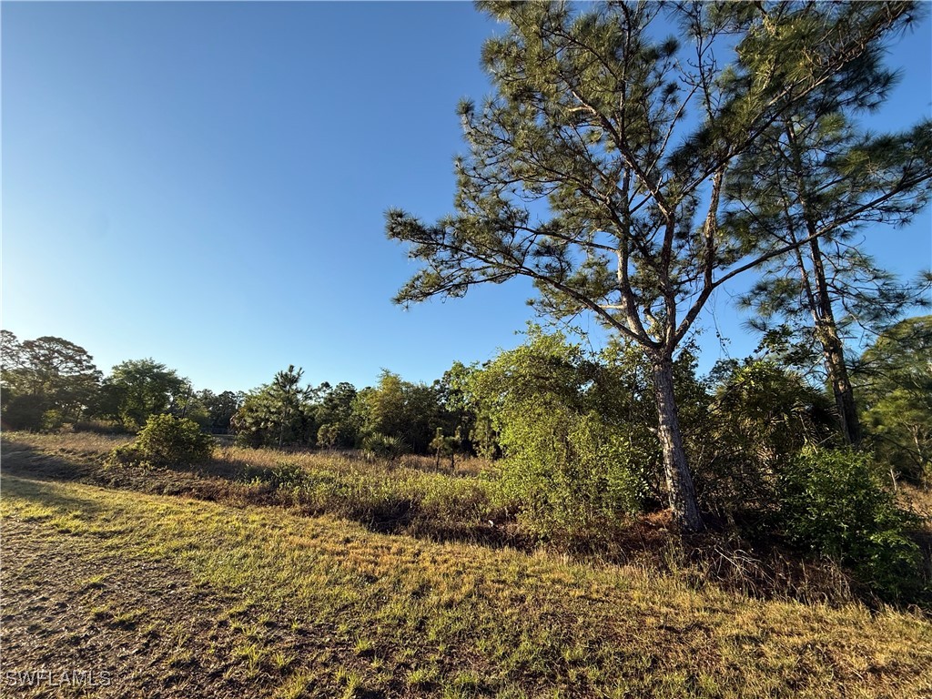 430 W Pinto Ave Property Photo 1