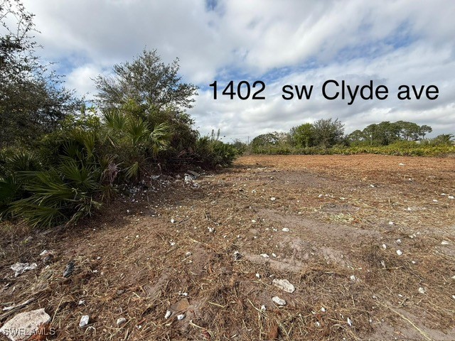 1402 Clyde Ave S Property Photo 5