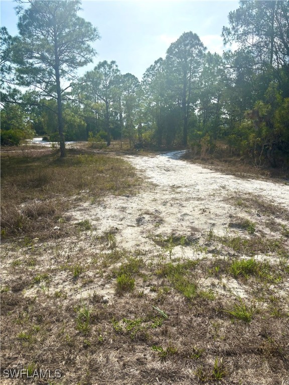 764 Kirkman Ave Property Photo 2