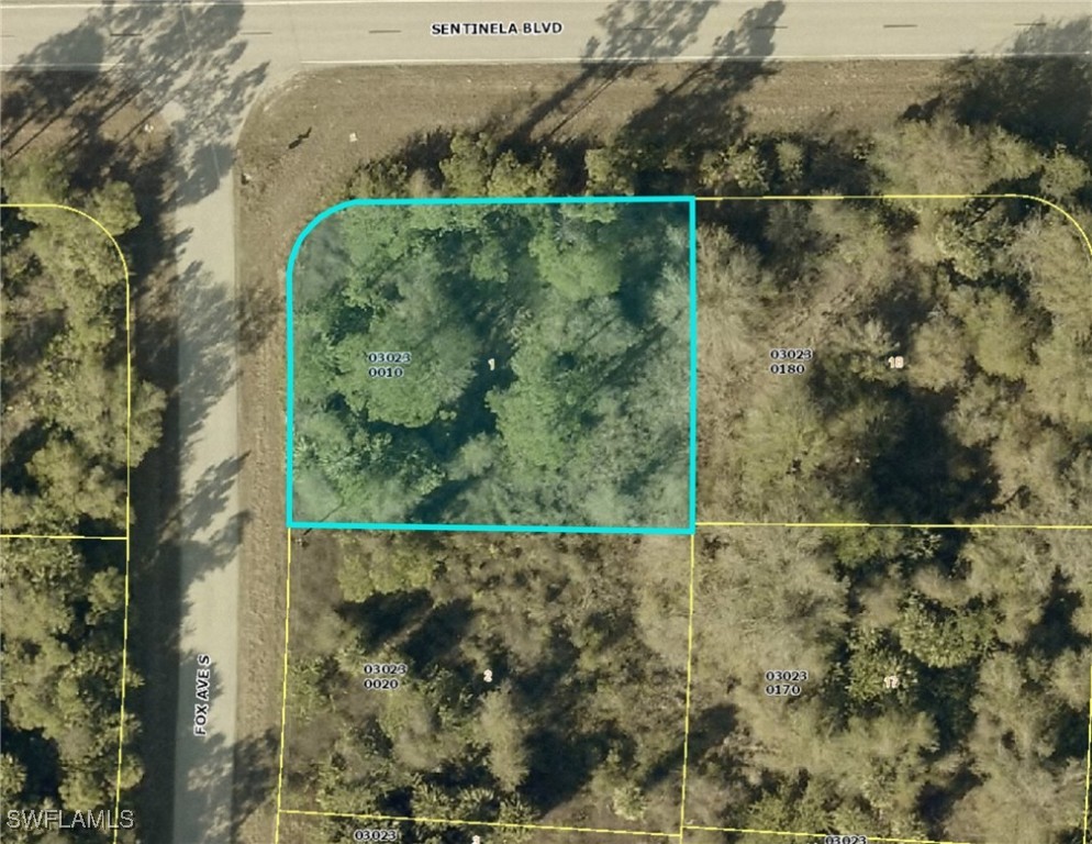 119 Fox Ave S Property Photo 7