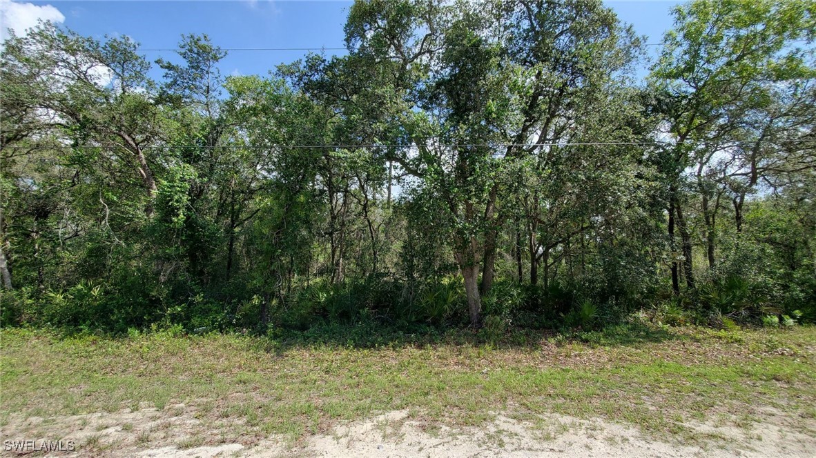 35017 Primrose Ln Property Photo