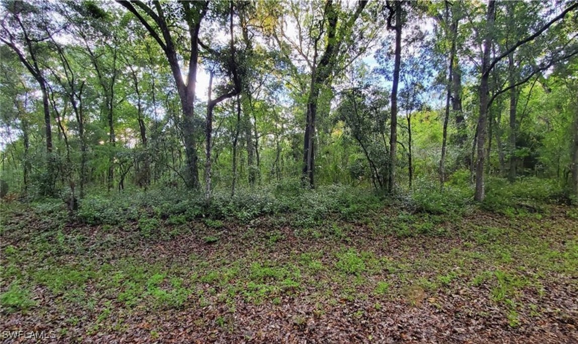0 Kenyon Dr Property Photo