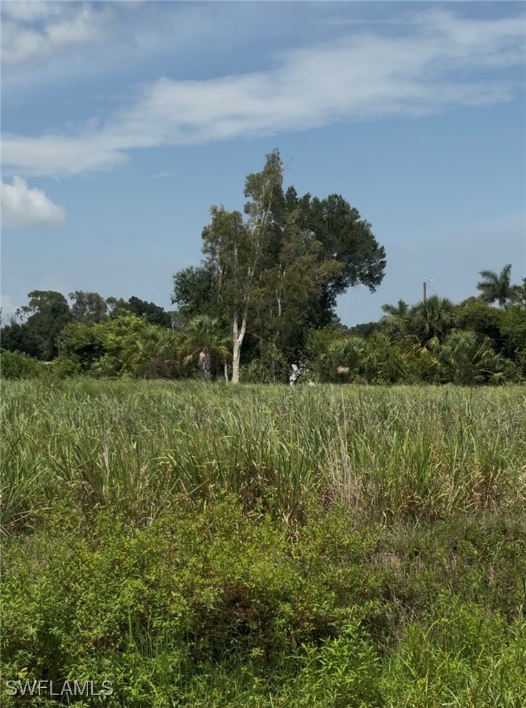 2536 N Tamiami Trl Property Photo 7