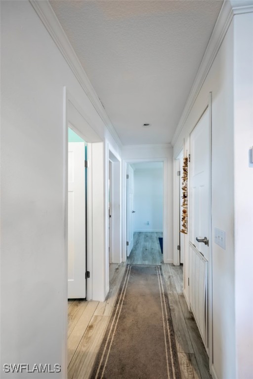 49 Percy St Property Photo 17