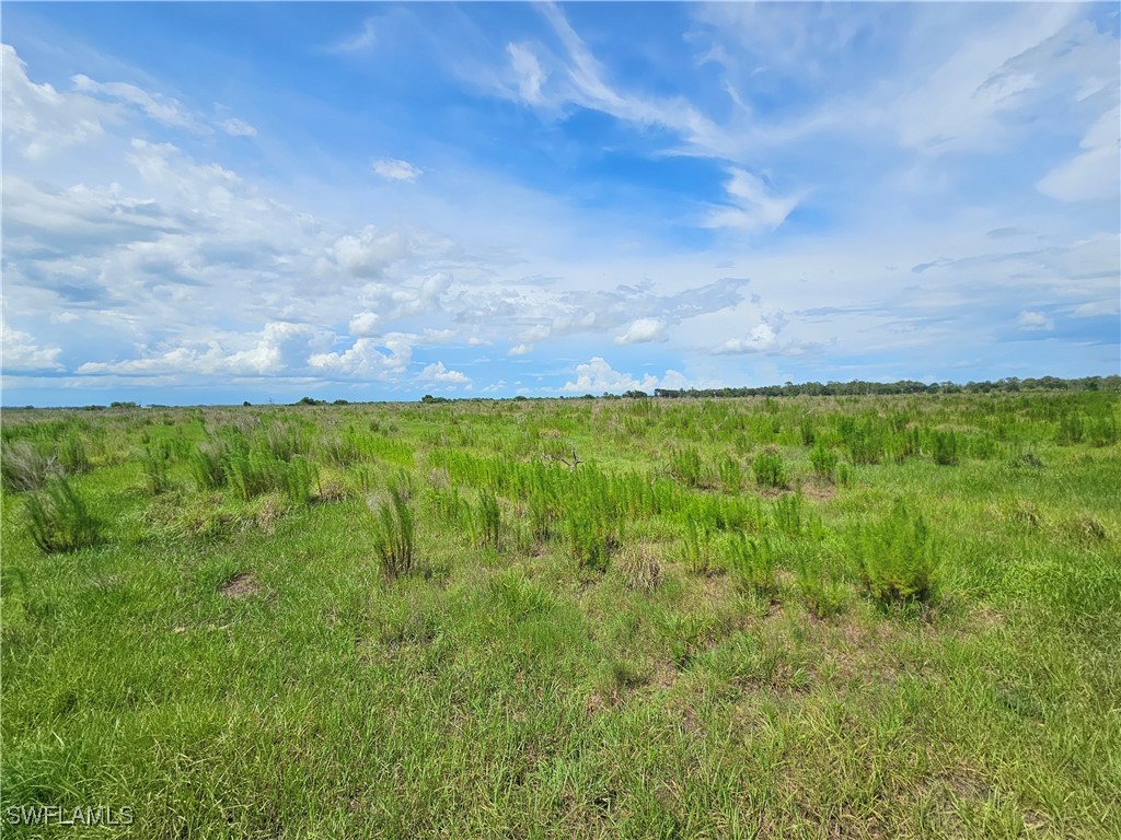 Kirby Thompson Rd Property Photo 6