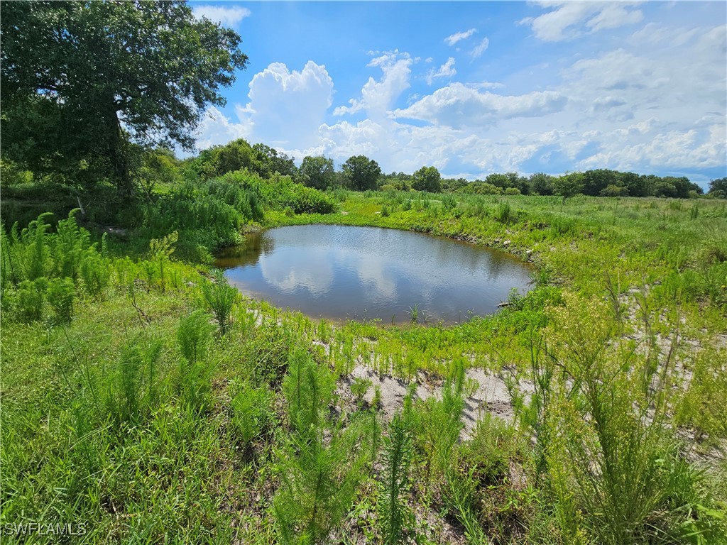 Kirby Thompson Rd Property Photo 8
