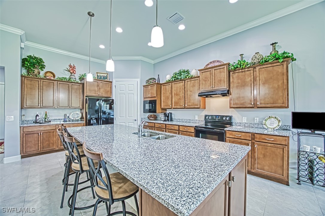 20749 Corkscrew Shores Blvd Property Photo 11