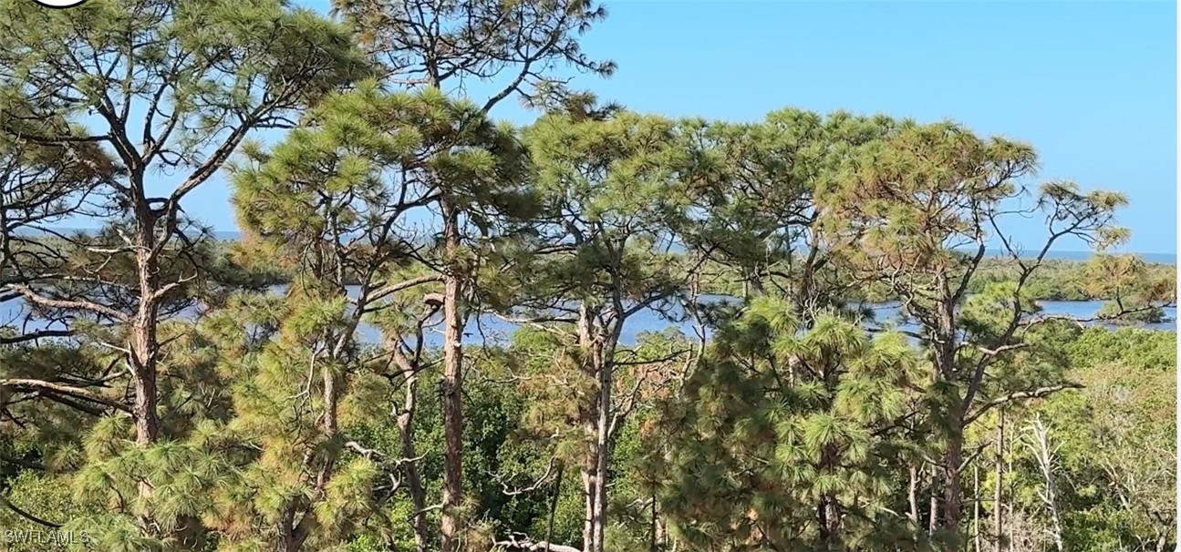 13955 Old Coast 501 Property Photo 6