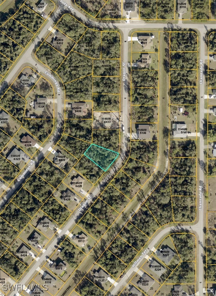 Dragon St Property Photo 2