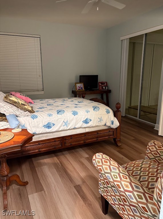 225072519 Property Photo 9