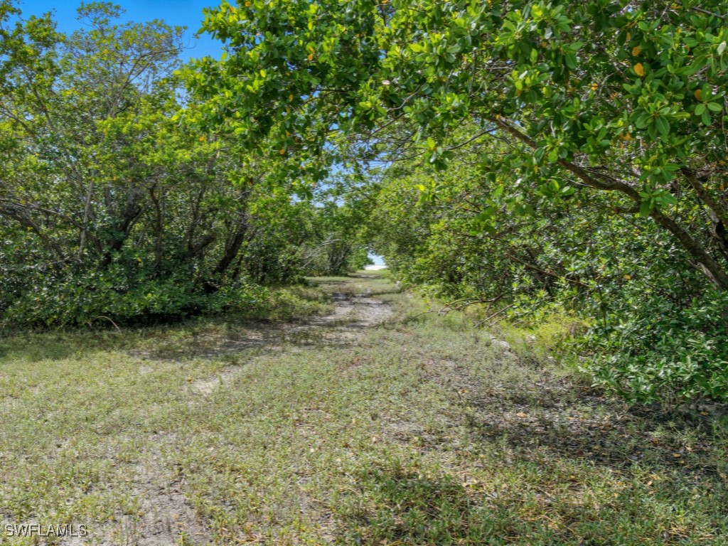 11799 Keewaydin Property Photo 13