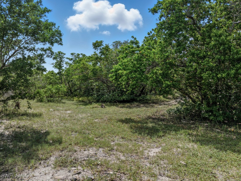 Keewaydin Property Photo 6