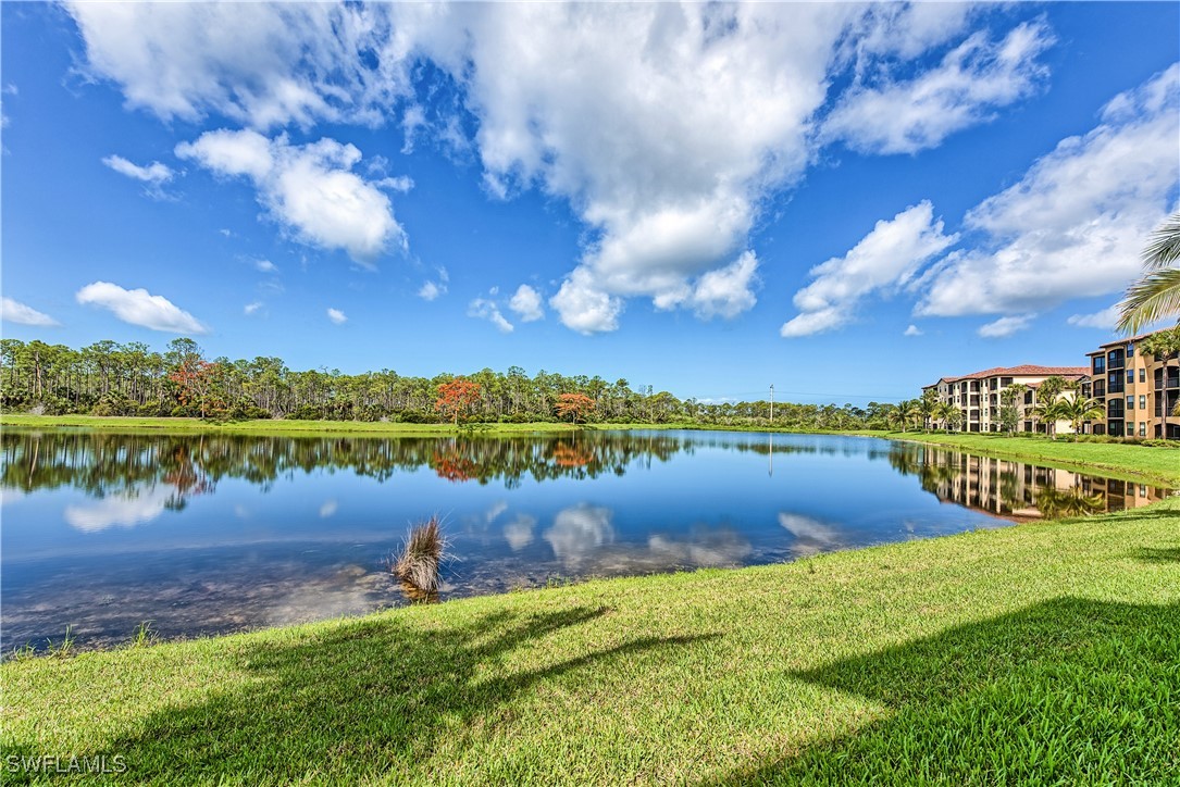 9727 Acqua Ct 423 Property Photo 20