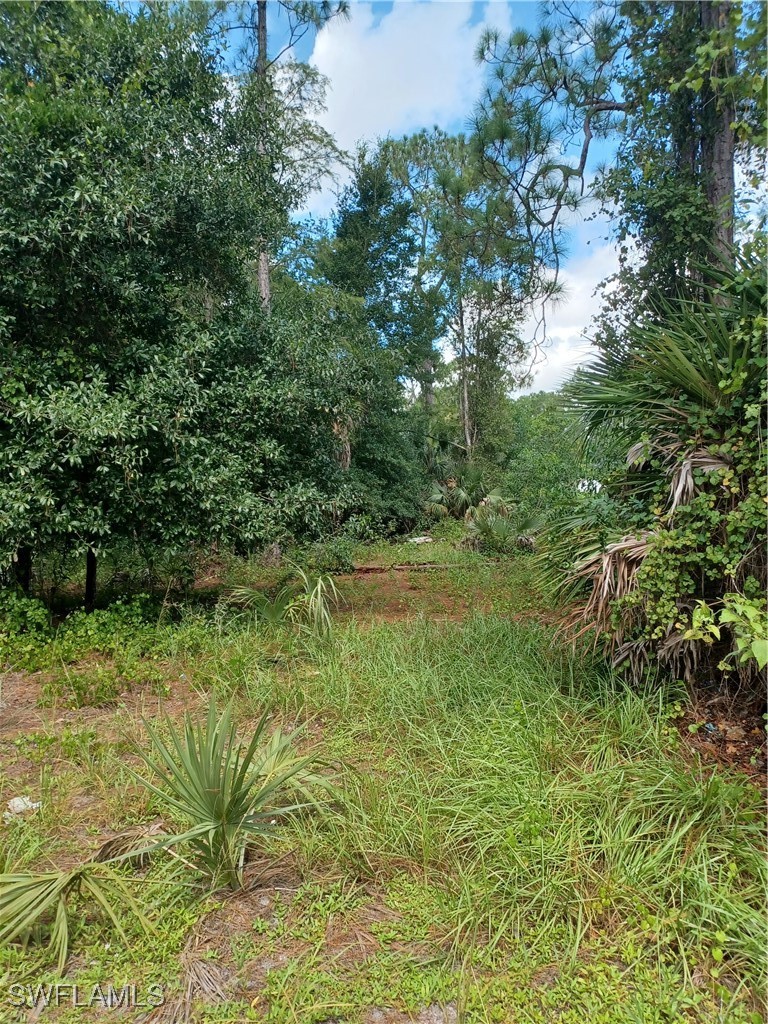 225084475 Property Photo 2