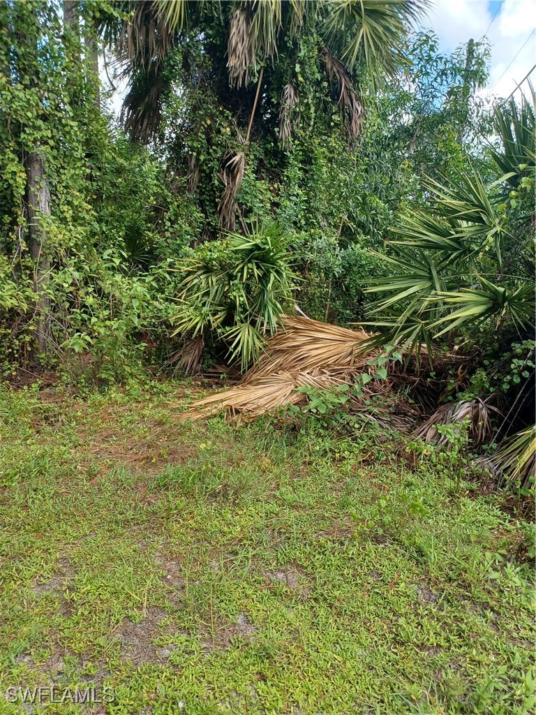 225084475 Property Photo 3