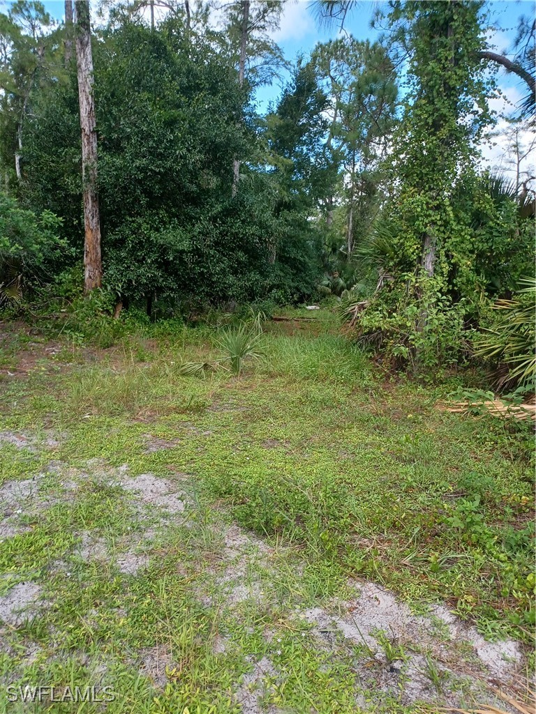 225084475 Property Photo 4