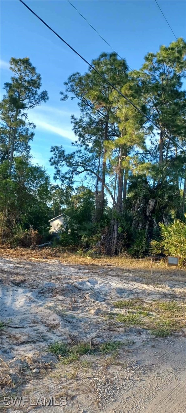 225084475 Property Photo 6