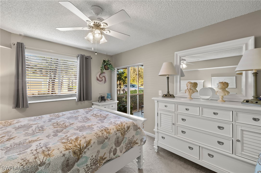 226003162 Property Photo 14