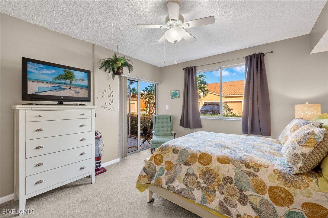 226003162 Property Photo 17