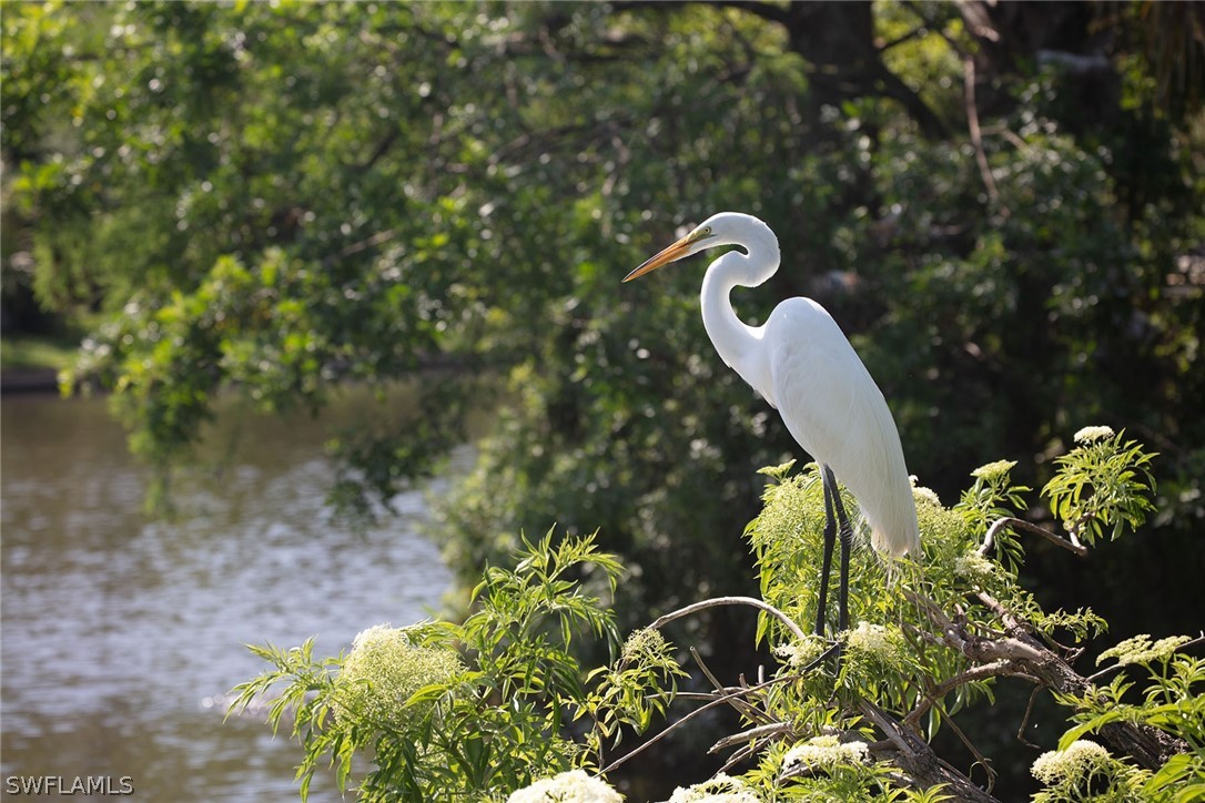 517 Devils Ln Property Photo 4