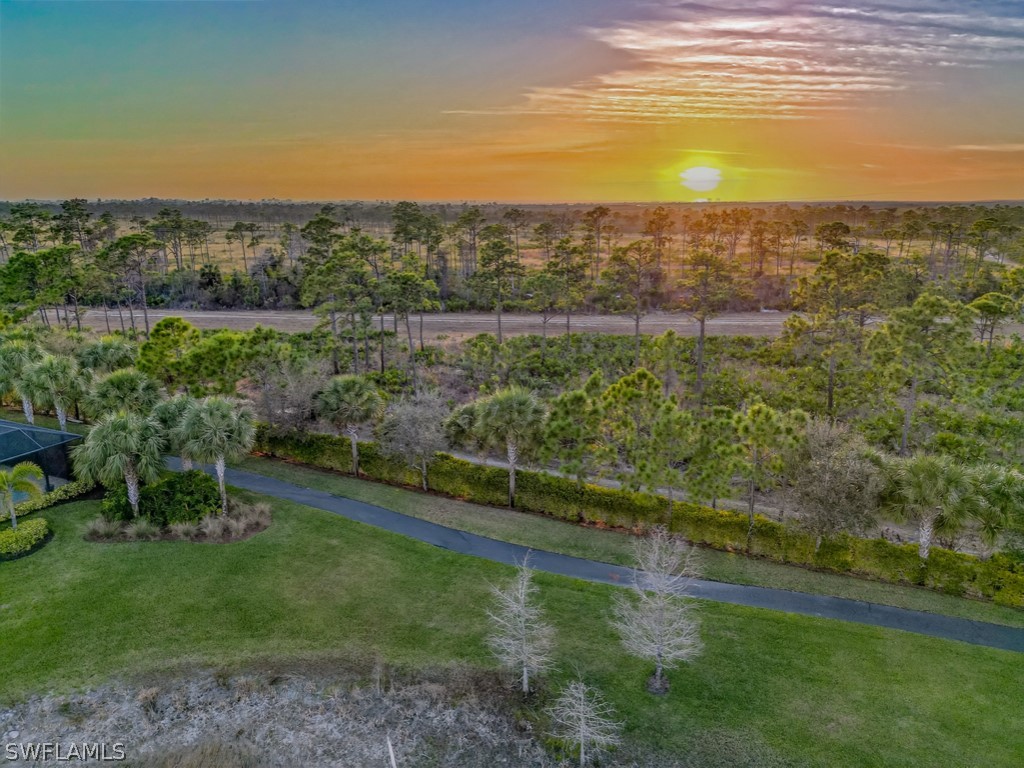 19735 Estero Pointe Ln Property Photo 33