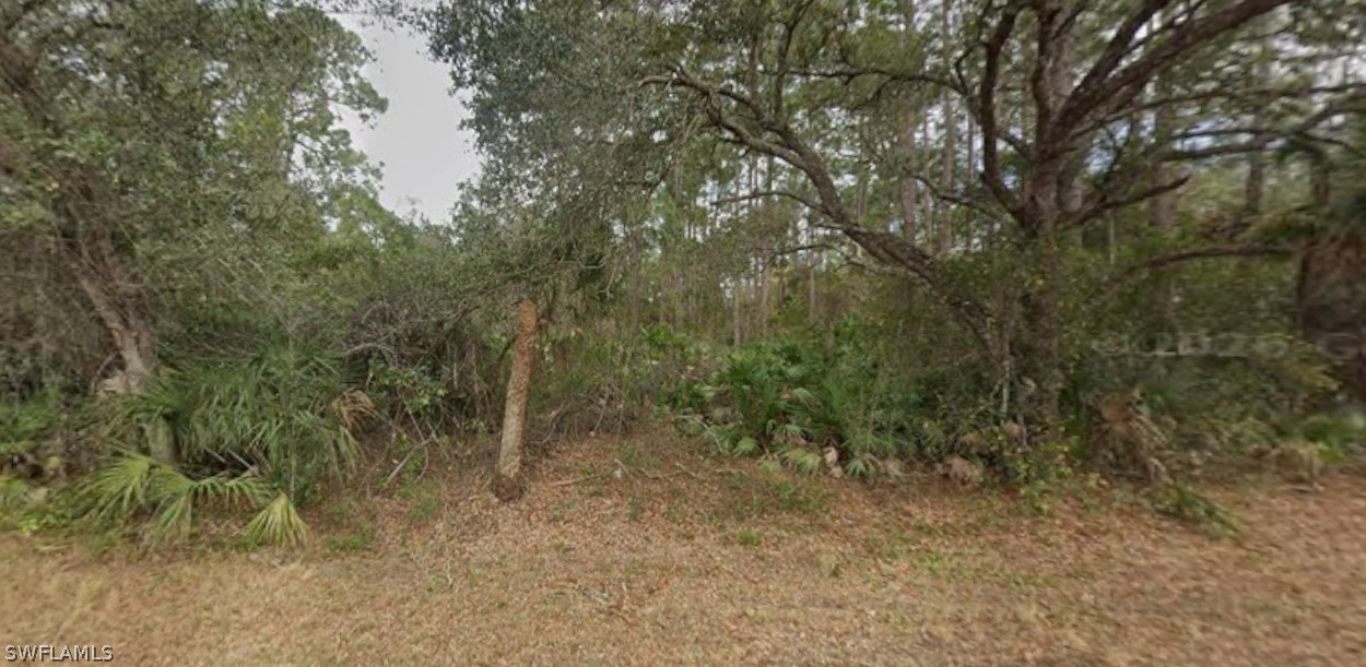 2004 Wells Ave Property Photo 4