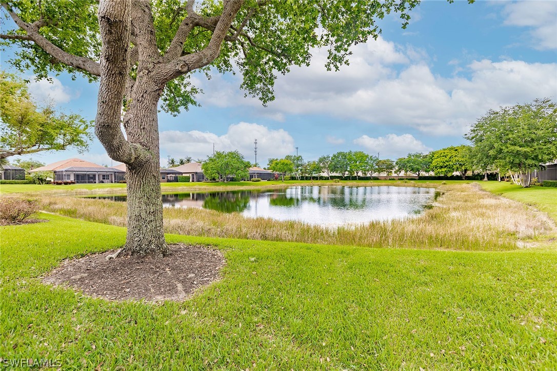 6105 Dogleg Dr Property Photo 46