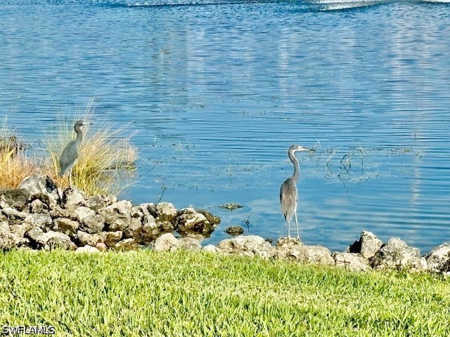 28318 Captiva Shell Loop Property Photo 22