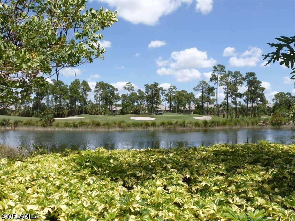 12567 Grandezza Cir Property Photo 41