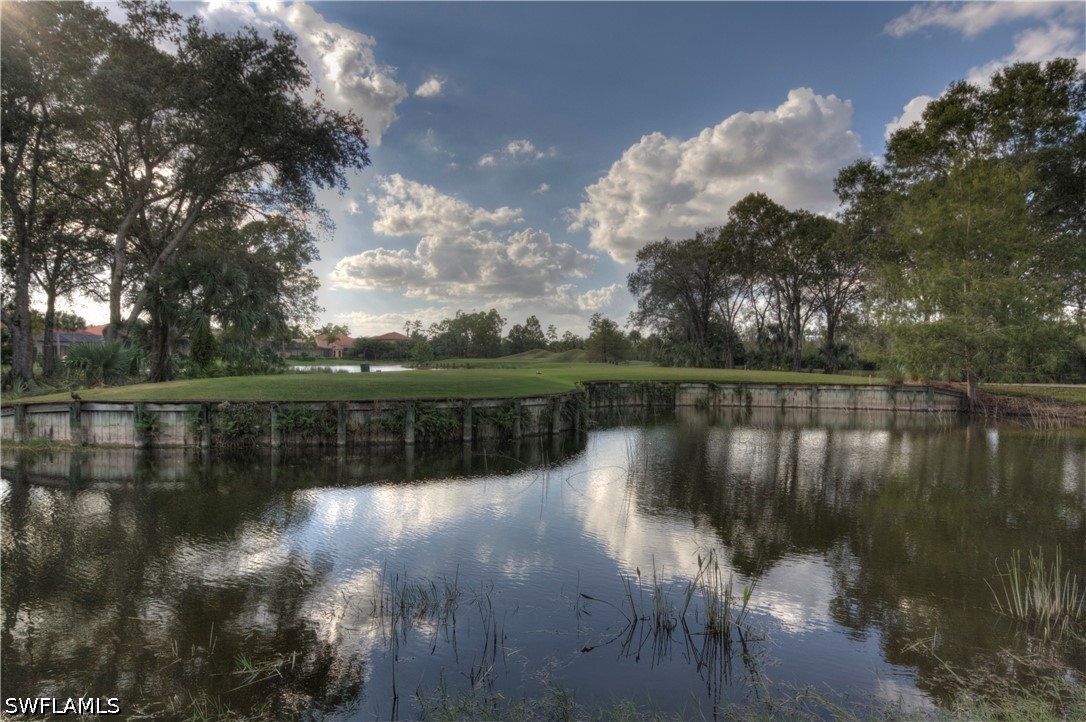 12567 Grandezza Cir Property Photo 43