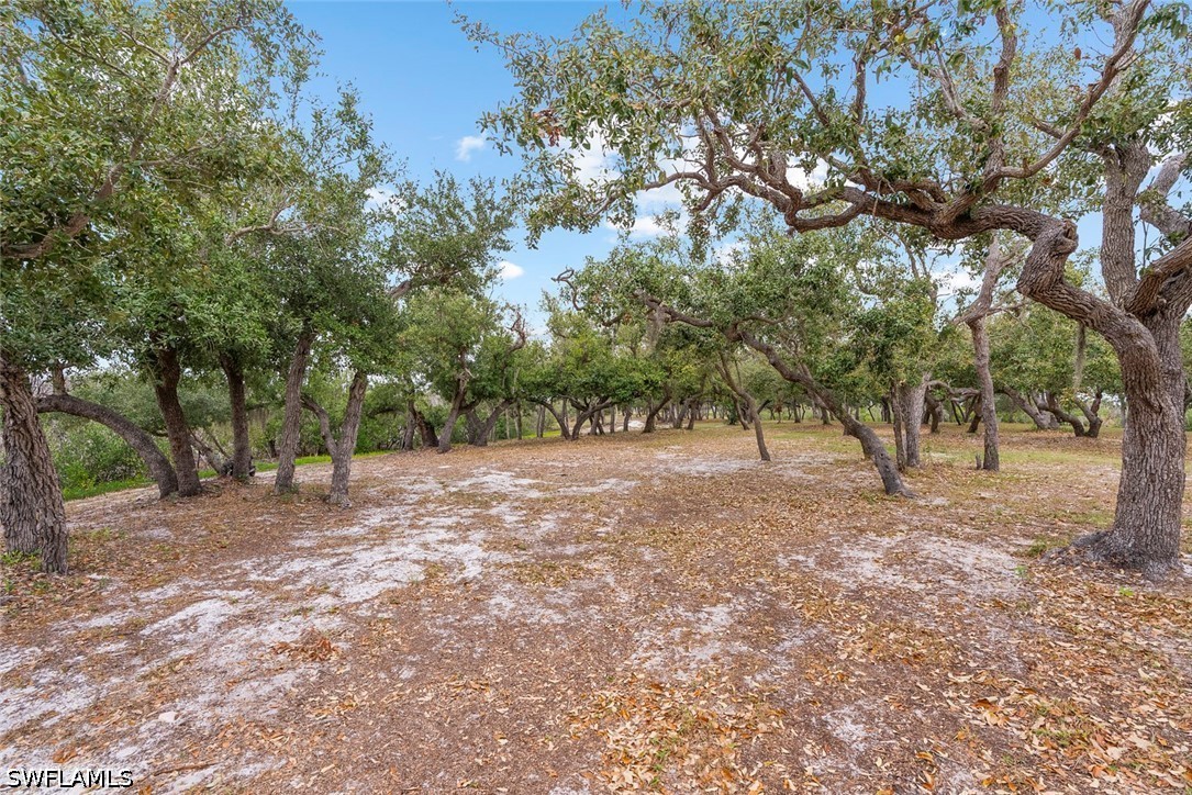X Burgess Island Property Photo 46