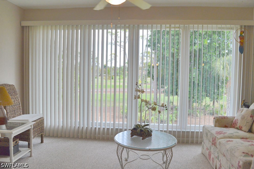 226017981 Property Photo 5
