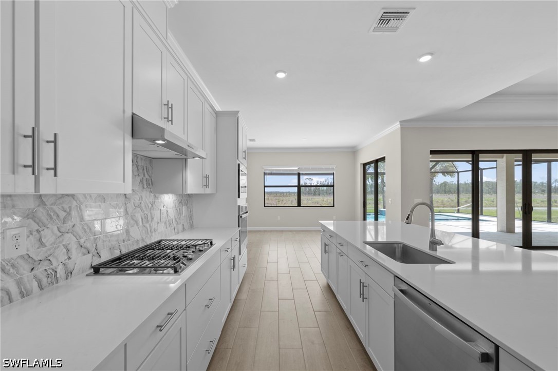 20529 Napa Loop Property Photo 16