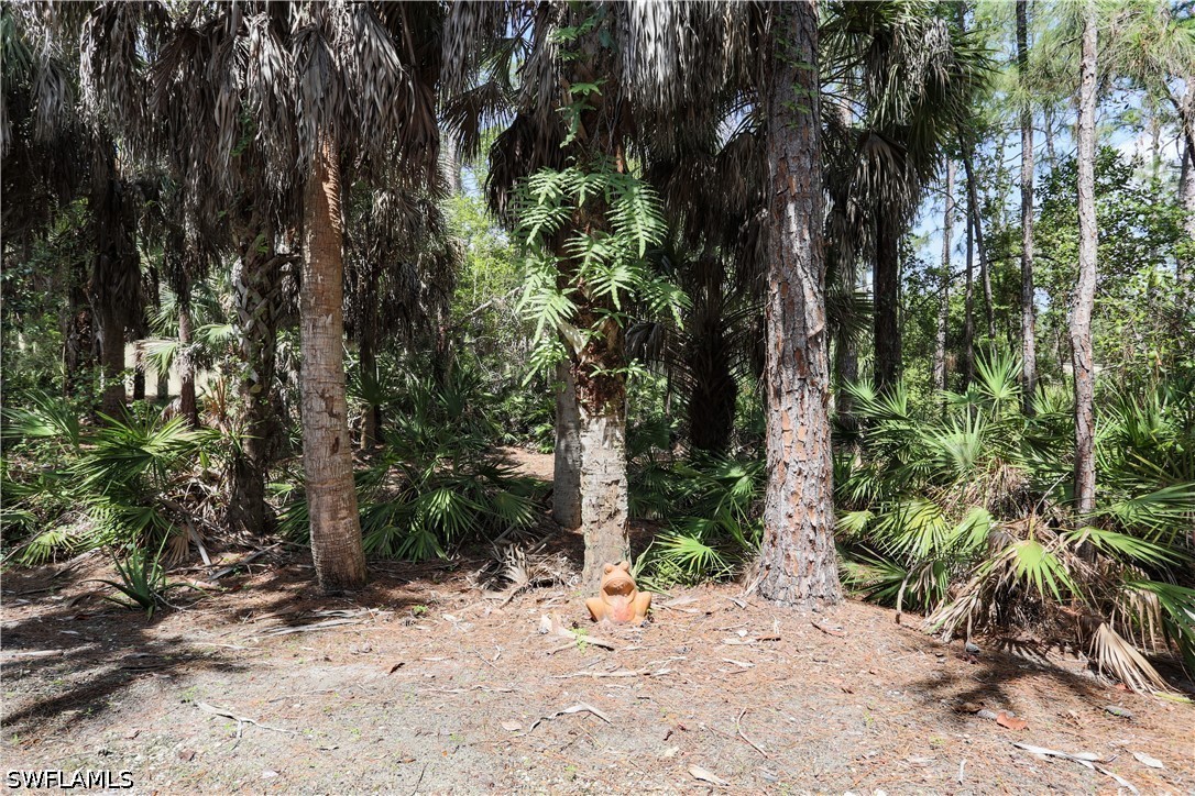 1710 Tarpon Bay Dr S 4 Property Photo 27
