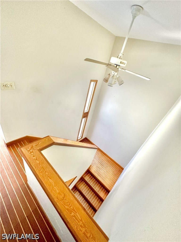 416 Bristle Cone Ln Property Photo 33