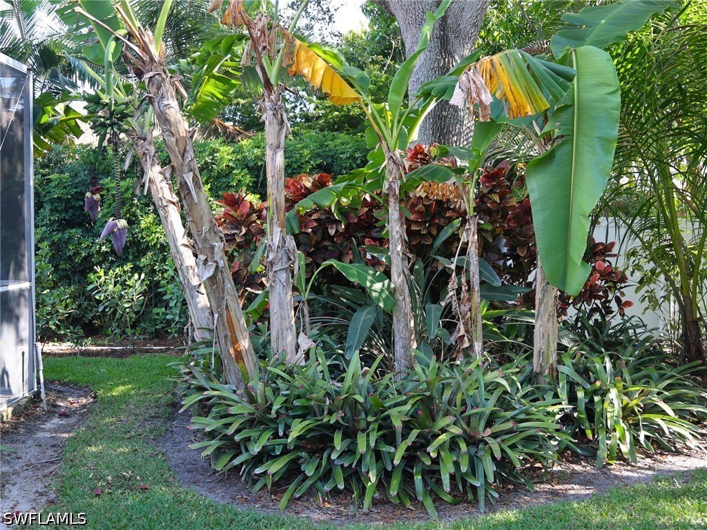 2554 Outrigger Ln Property Photo 33