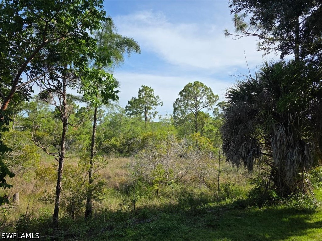 1784 Sanctuary Pointe Ct Property Photo 30