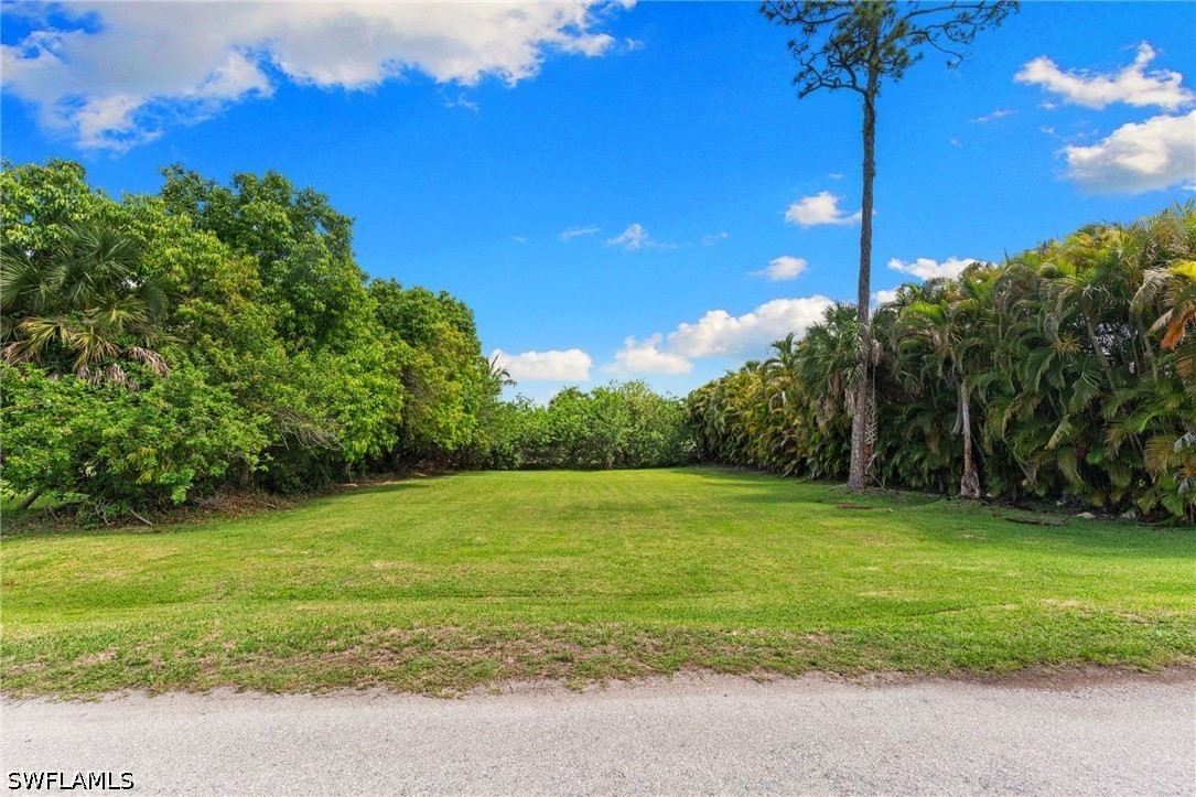 3080 Pine Tree Dr Property Photo 8