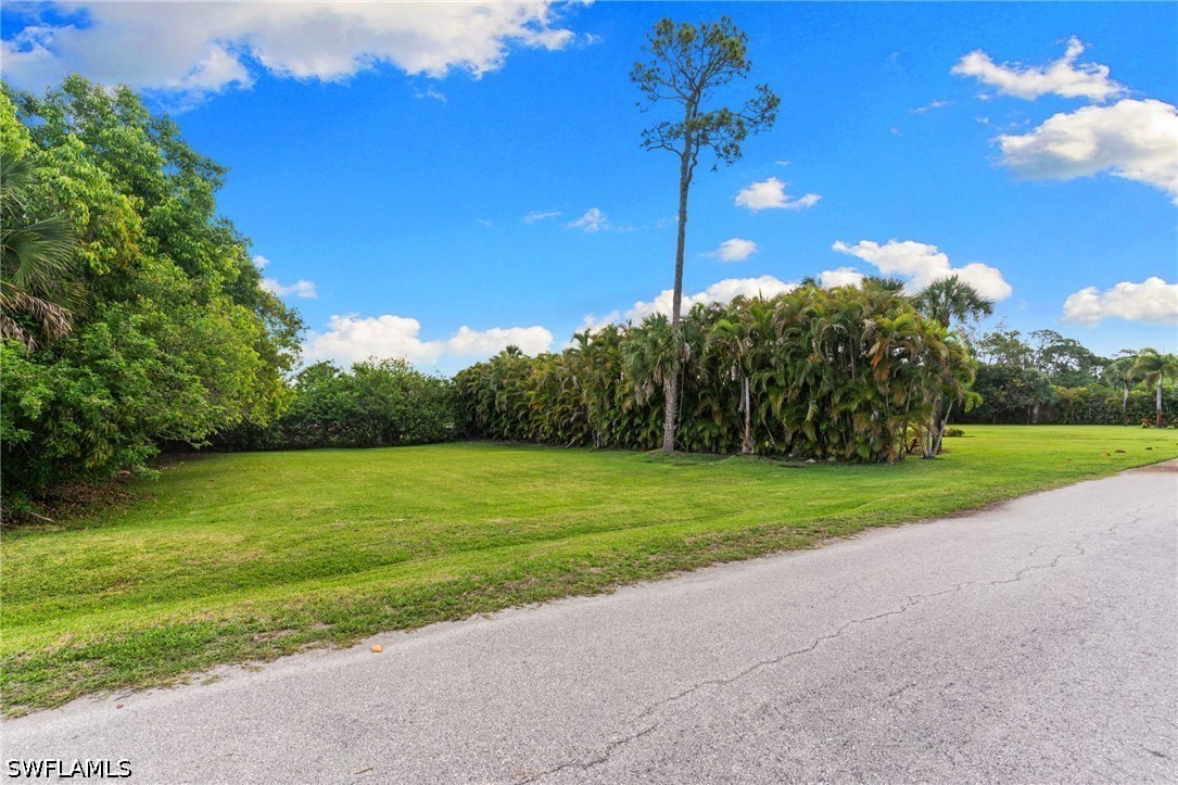 3080 Pine Tree Dr Property Photo 9