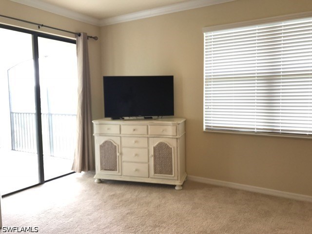 28540 Carlow Ct 302 Property Photo 10