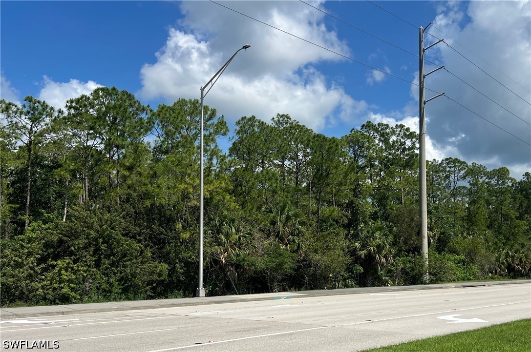 Xxx Immokalee Rd Property Photo 2