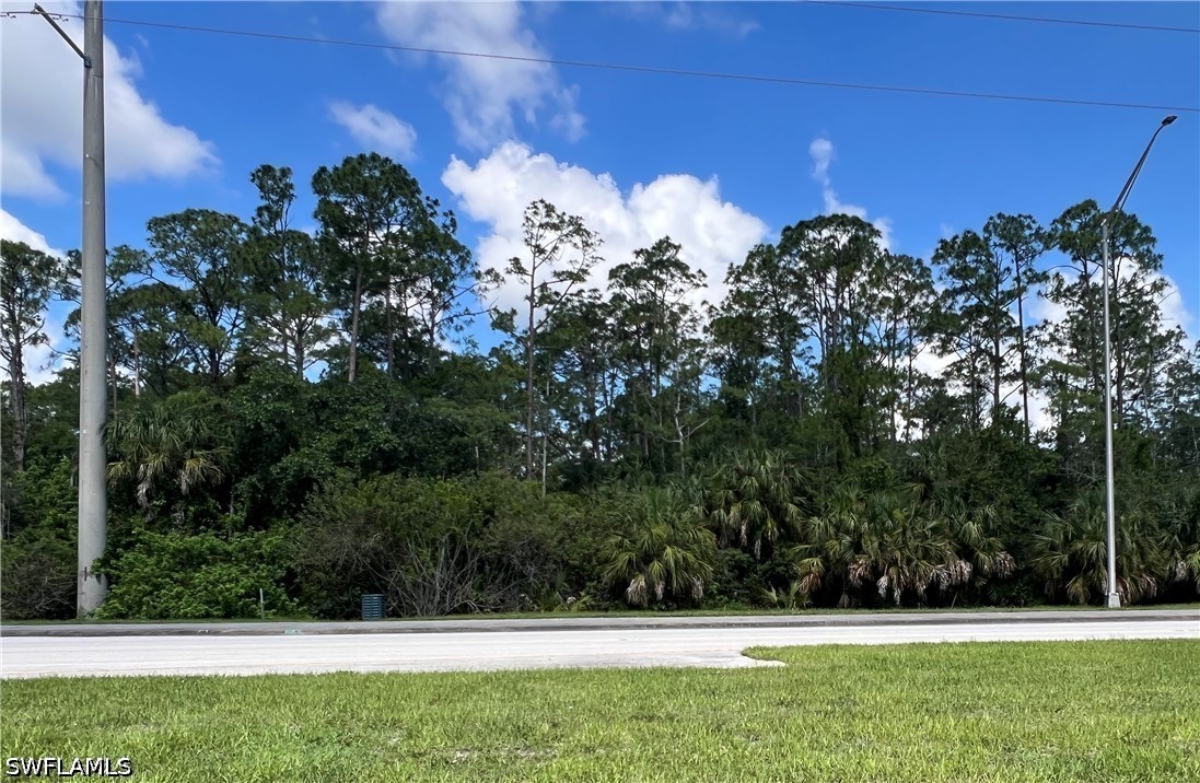 Xxx Immokalee Rd Property Photo 3