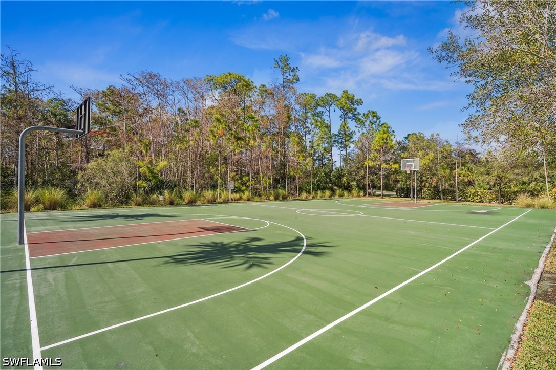 4115 Raffia Dr Property Photo 48
