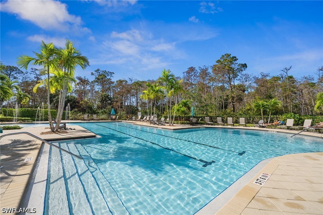 4115 Raffia Dr Property Photo 49