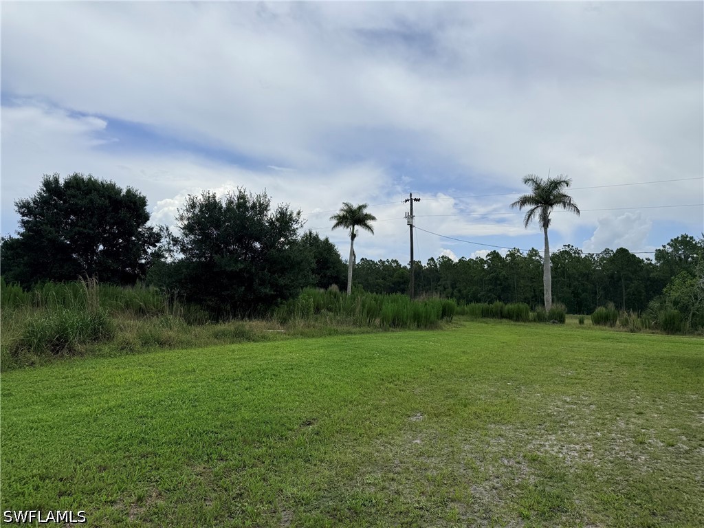 925 Purple Martin Dr Property Photo 9