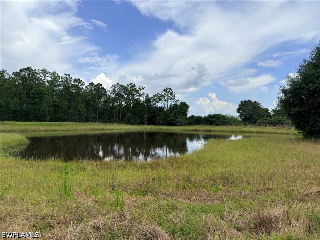925 Purple Martin Dr Property Photo 21