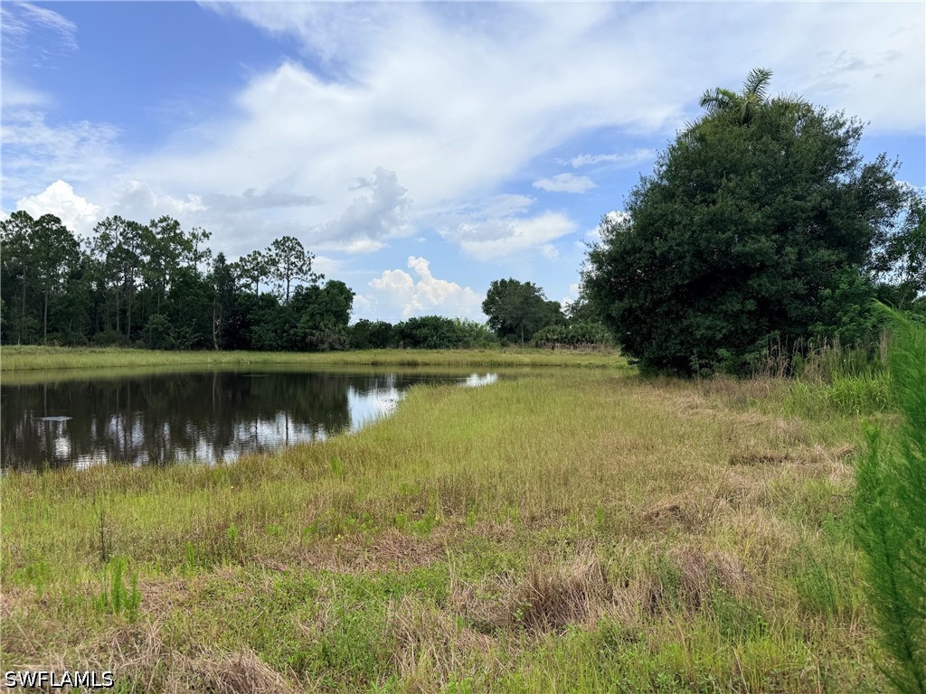 925 Purple Martin Dr Property Photo 22