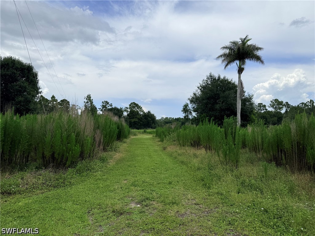 925 Purple Martin Dr Property Photo 23