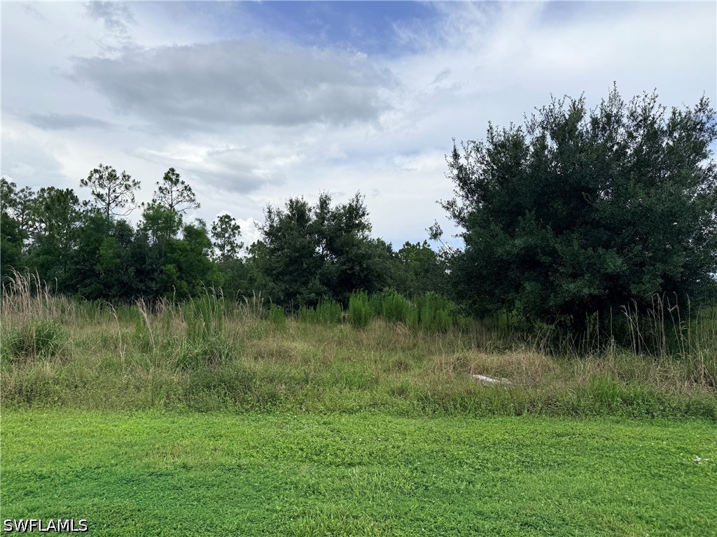 925 Purple Martin Dr Property Photo 33