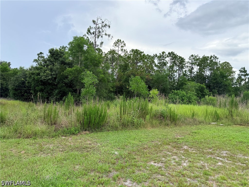 925 Purple Martin Dr Property Photo 34